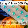 Lang Yi Hao 500 Mg 28